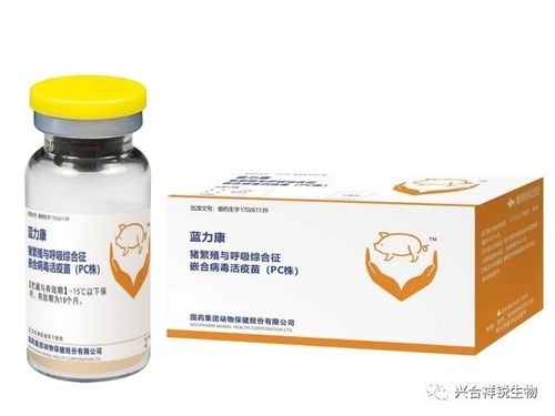 蓝力康 猪繁殖与呼吸综合征嵌合病毒活疫苗（PC株）