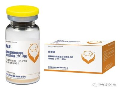 蓝金康 高致病性猪繁殖与呼吸综合征活疫苗（JXA1-R株）