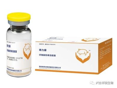 寒力康 仔猪副伤寒活疫苗