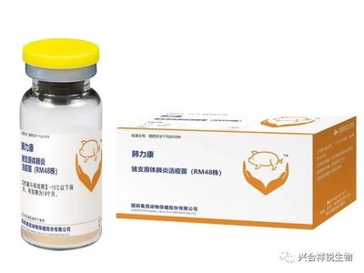 肺力康 猪支原体肺炎活疫苗（RM48株）