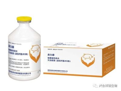 鼻力康 猪萎缩性鼻炎灭活疫苗（波氏杆菌JB5株）