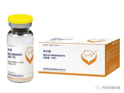 伪力康 猪伪狂犬病耐热保护剂活疫苗（C株）