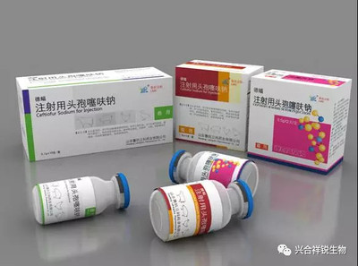 德蝠——注射用头孢噻呋钠